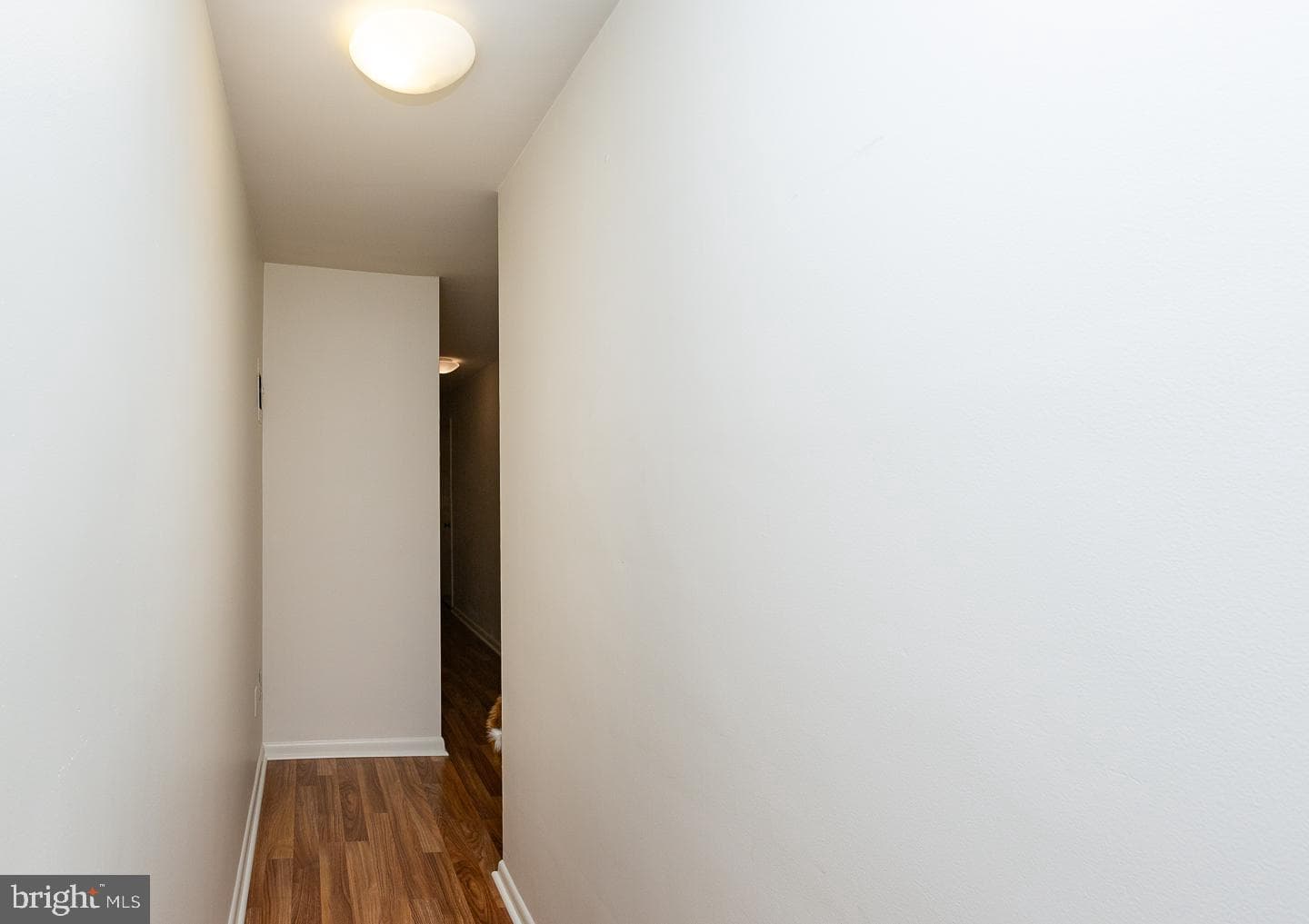 383 Lakeside Road #103 photo 2
