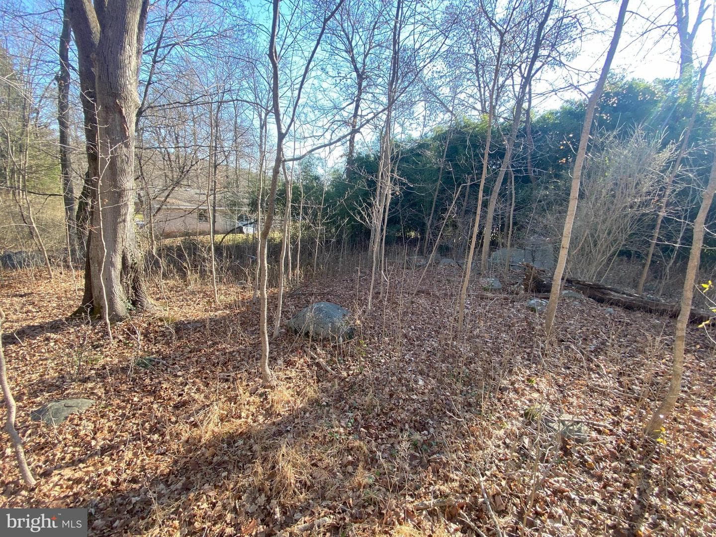 1001 Summit Avenue photo 4