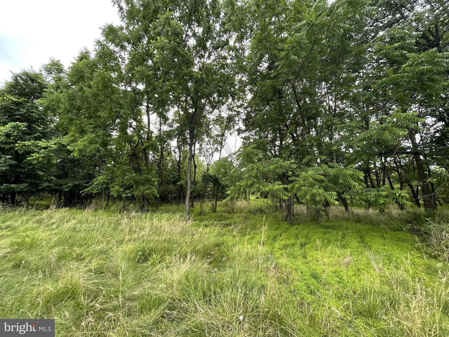 288 Buchert Road #2 photo 14