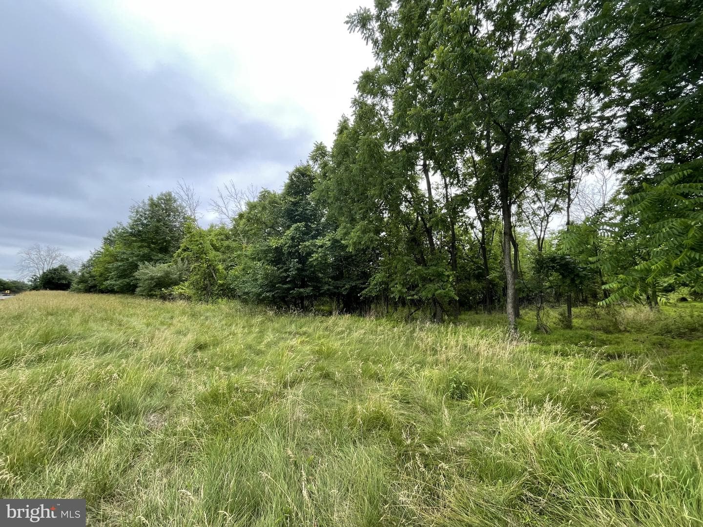 288 Buchert Road #2 photo 15