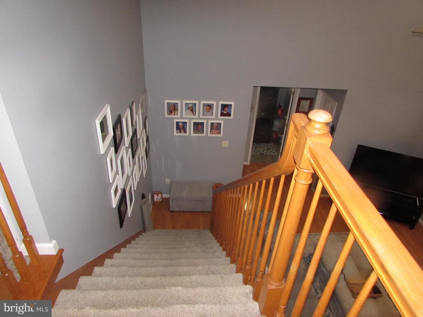 996 Candelora Drive photo 54