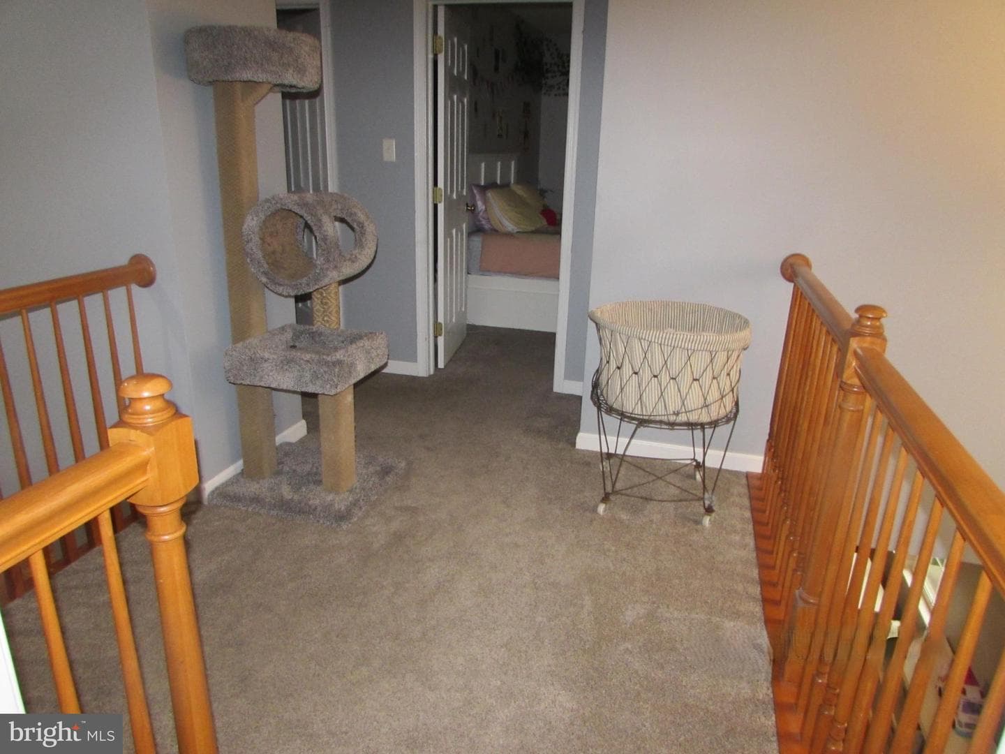 996 Candelora Drive photo 56