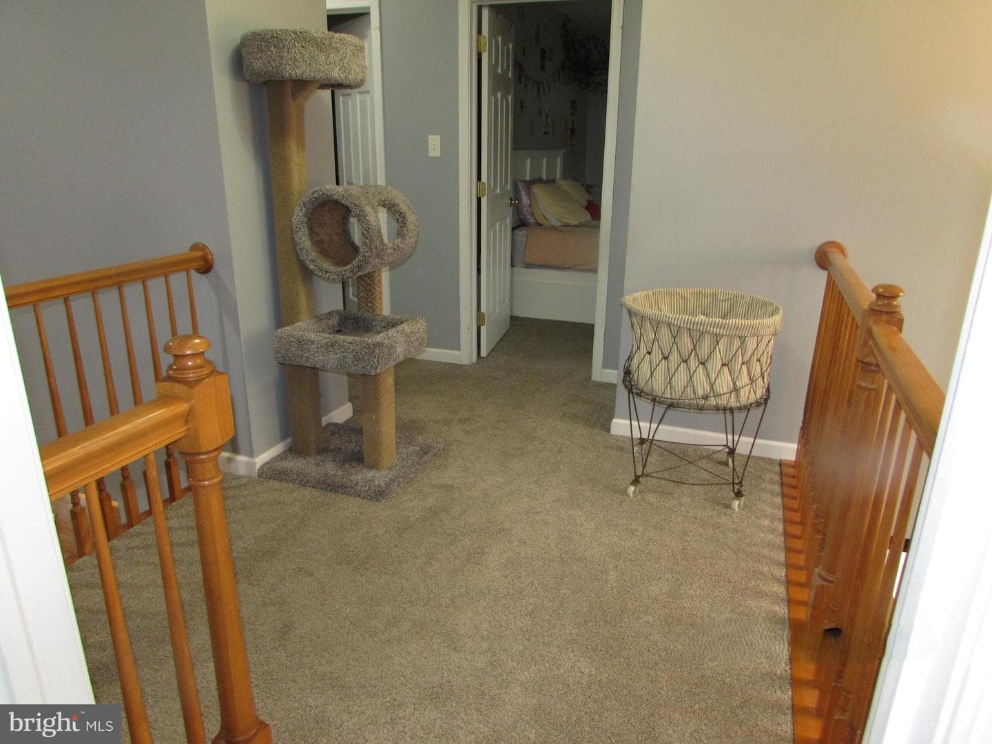 996 Candelora Drive photo 57