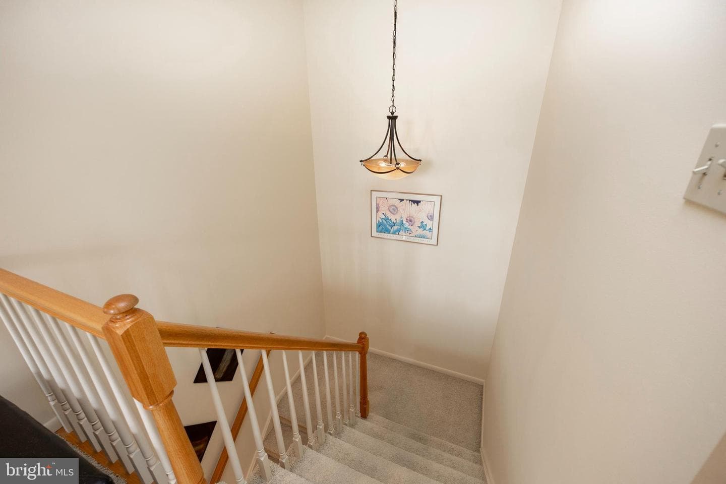 323 Hamilton Drive photo 17