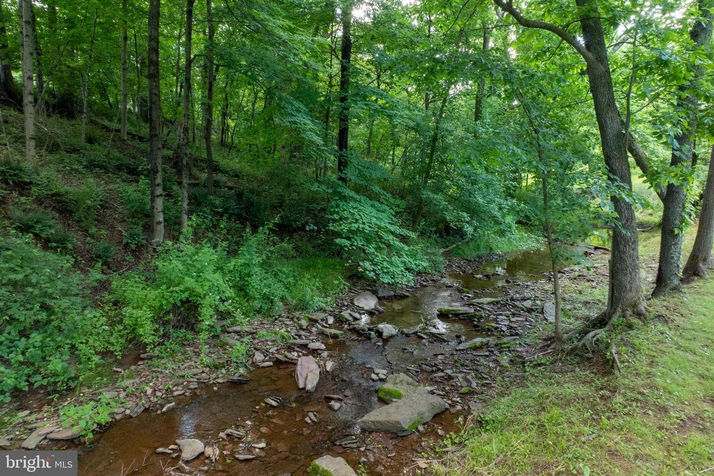 775 Gravel Pike photo 51
