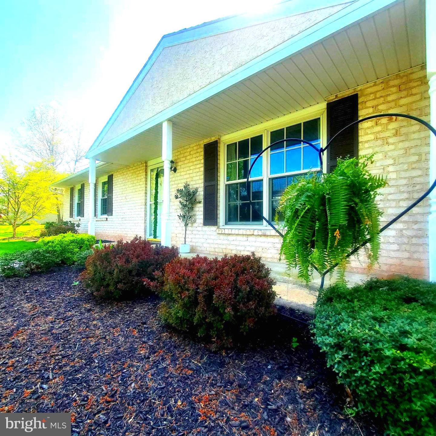 380 Thrush Drive photo 5