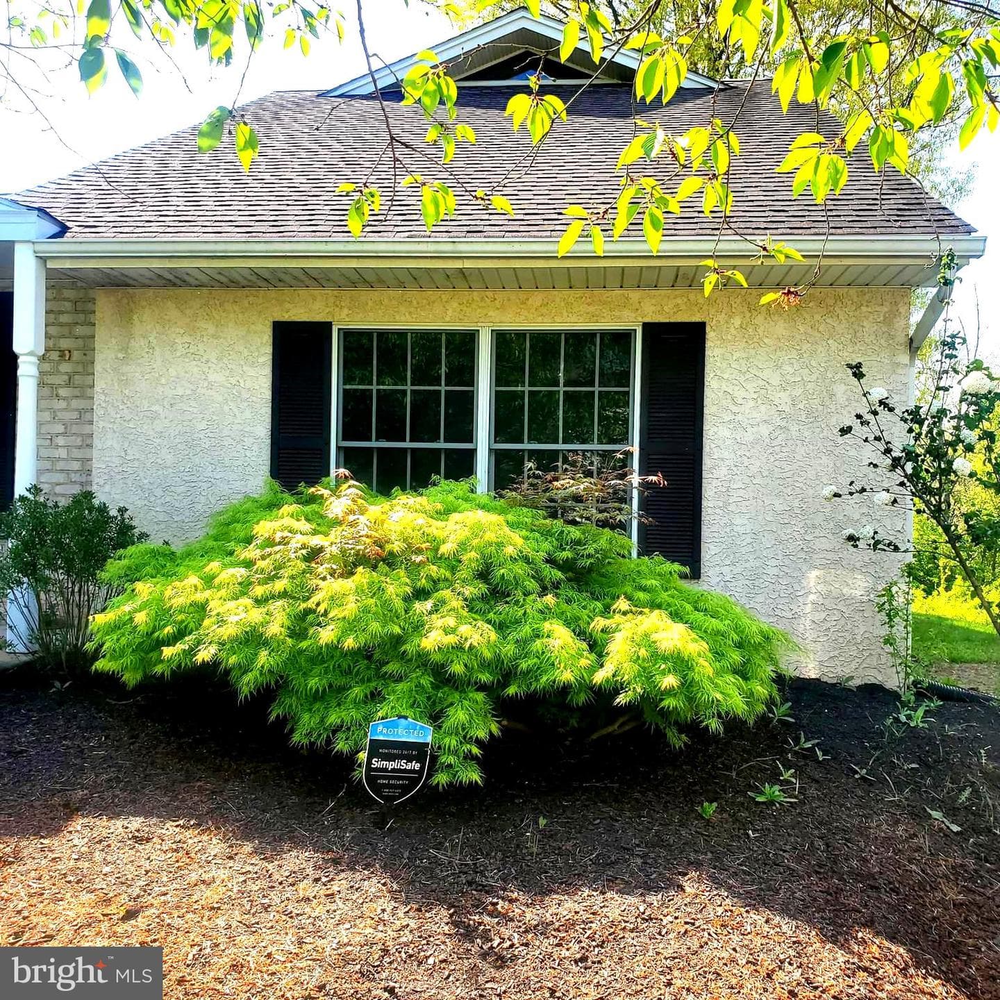 380 Thrush Drive photo 6