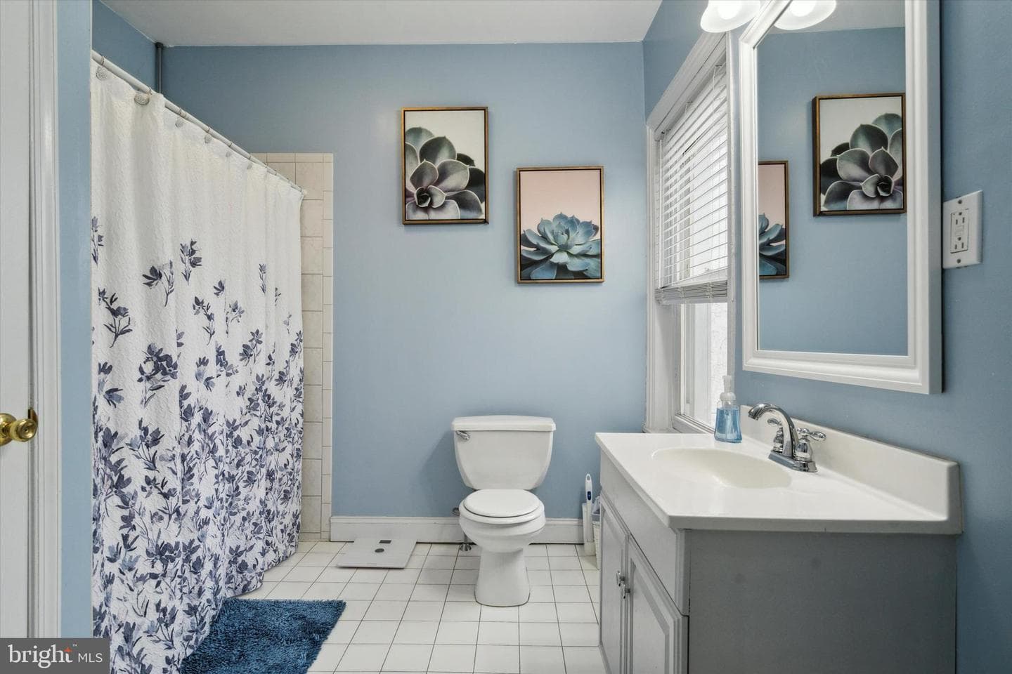 253 E Hector Street photo 18