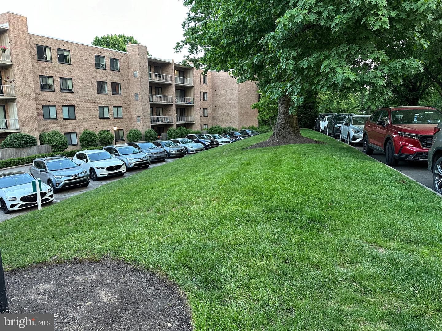1637 Oakwood Drive #s209 photo 5