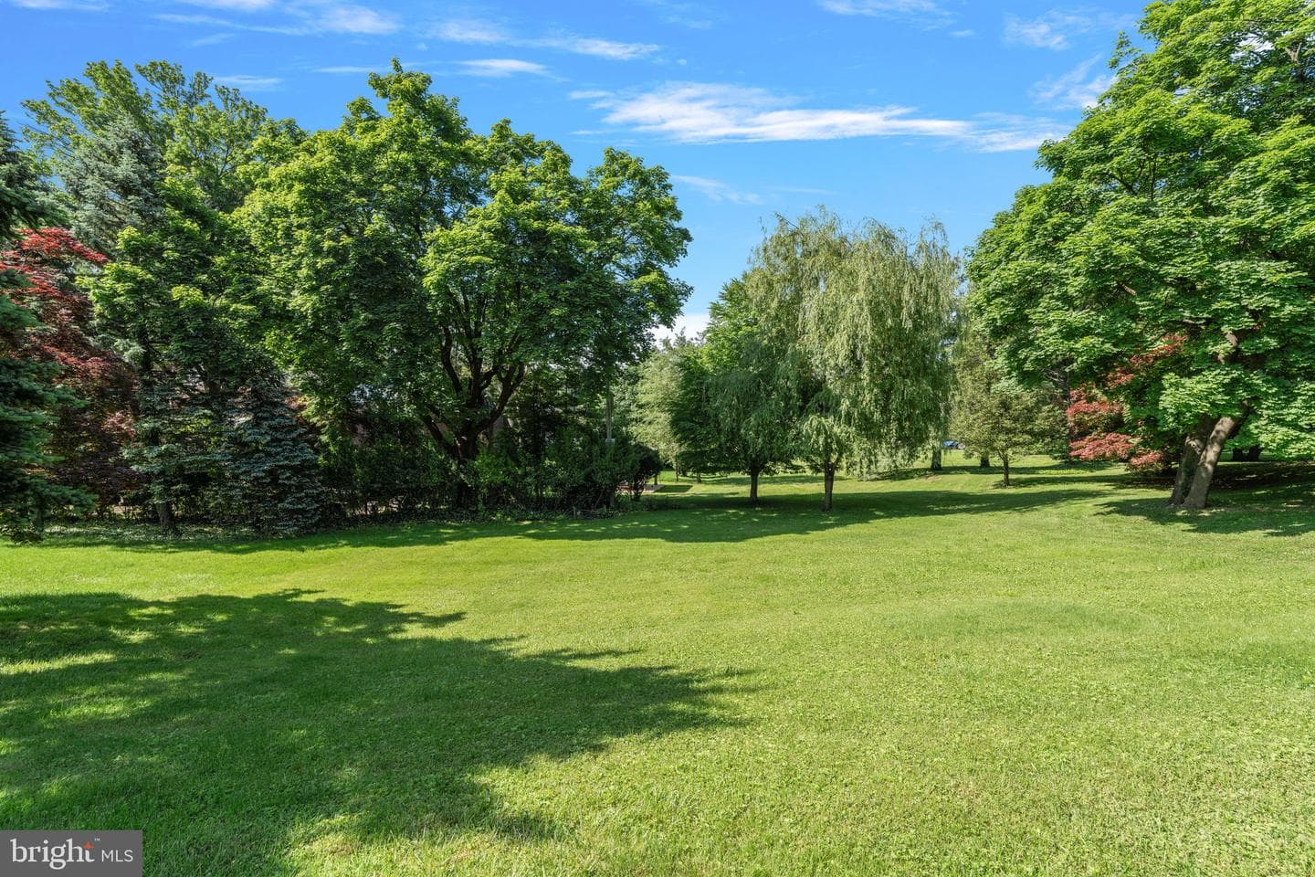 1816 Woodland Road photo 17