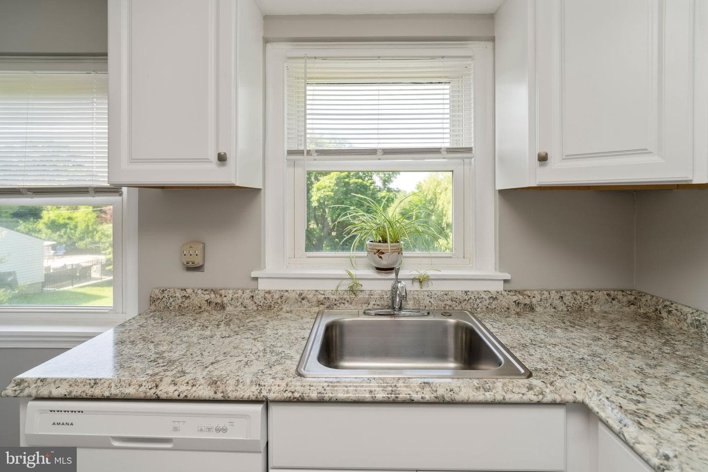 1816 Woodland Road photo 3