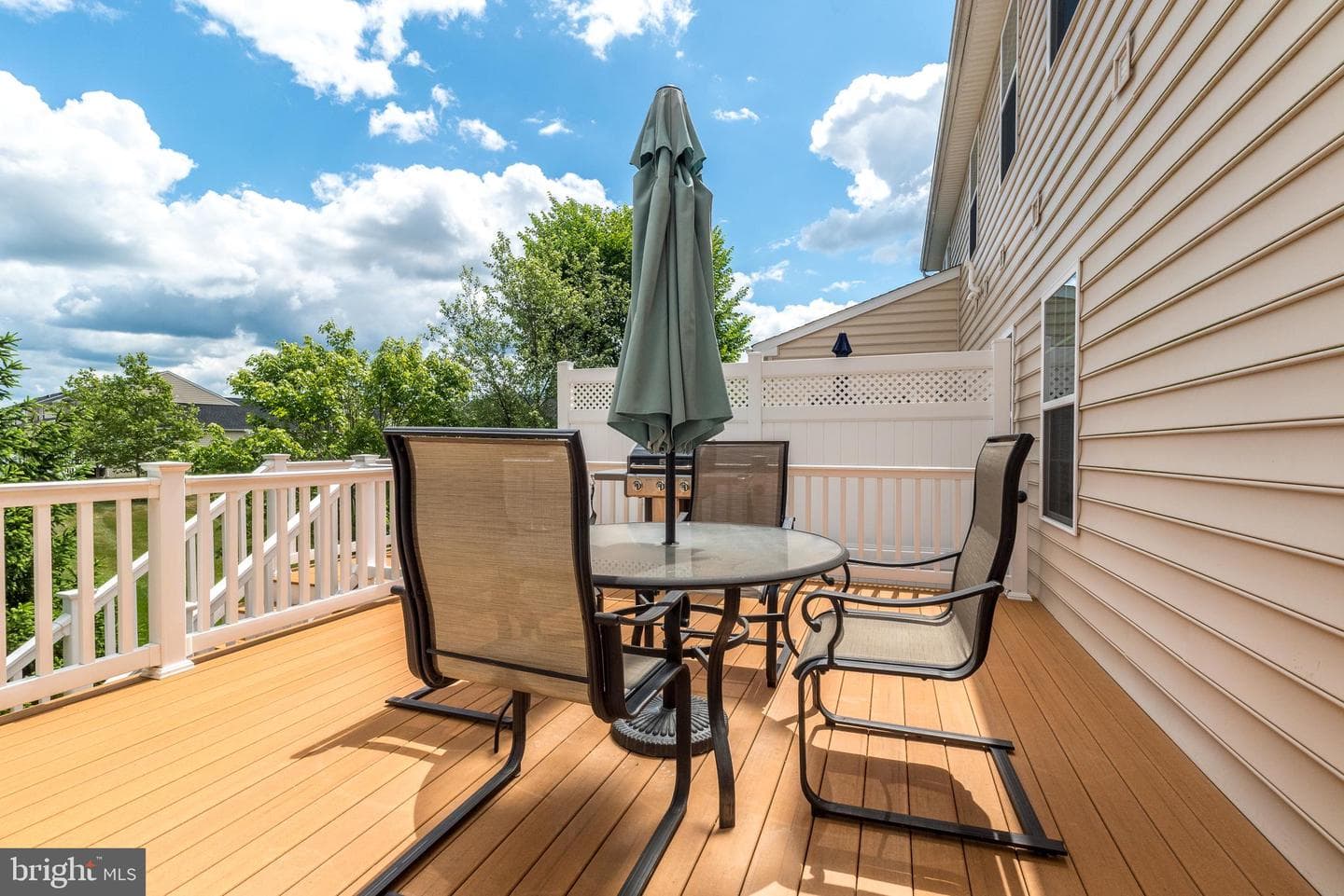 131 Brindle Court photo 44