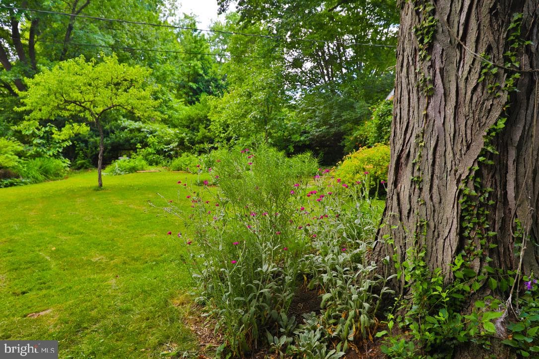 910 Bent Lane photo 45