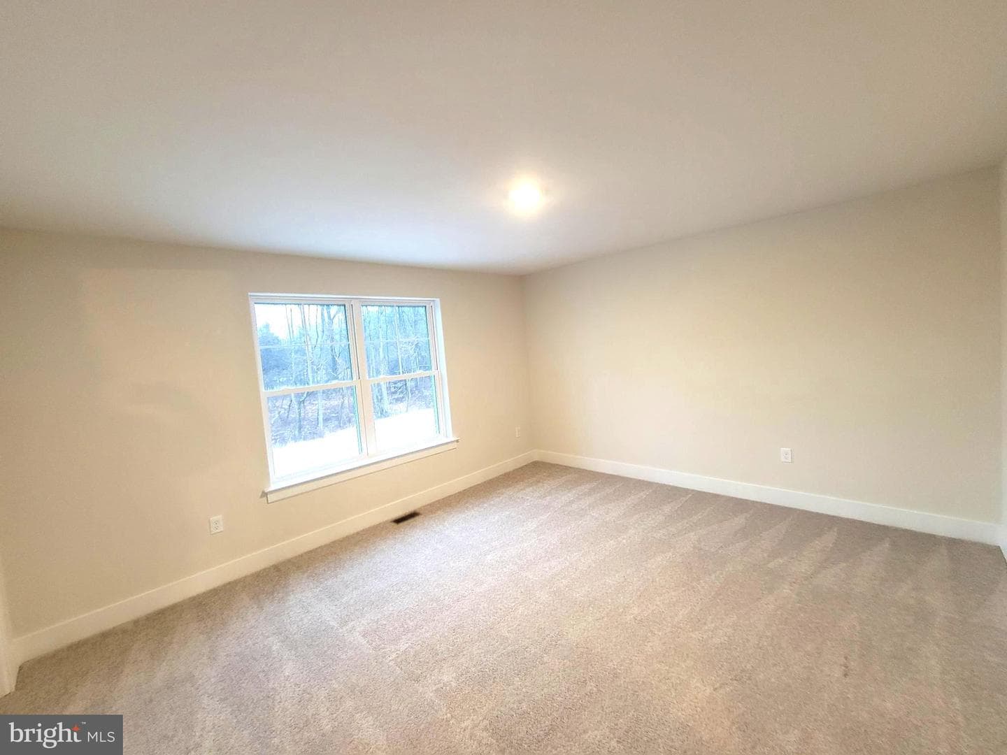 954 Layfield photo 19