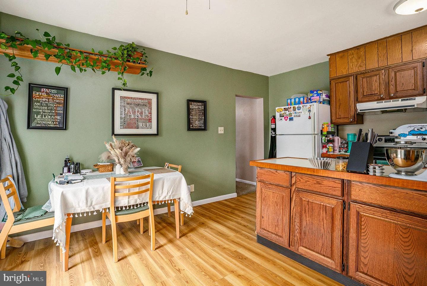 224 W Walnut photo 9