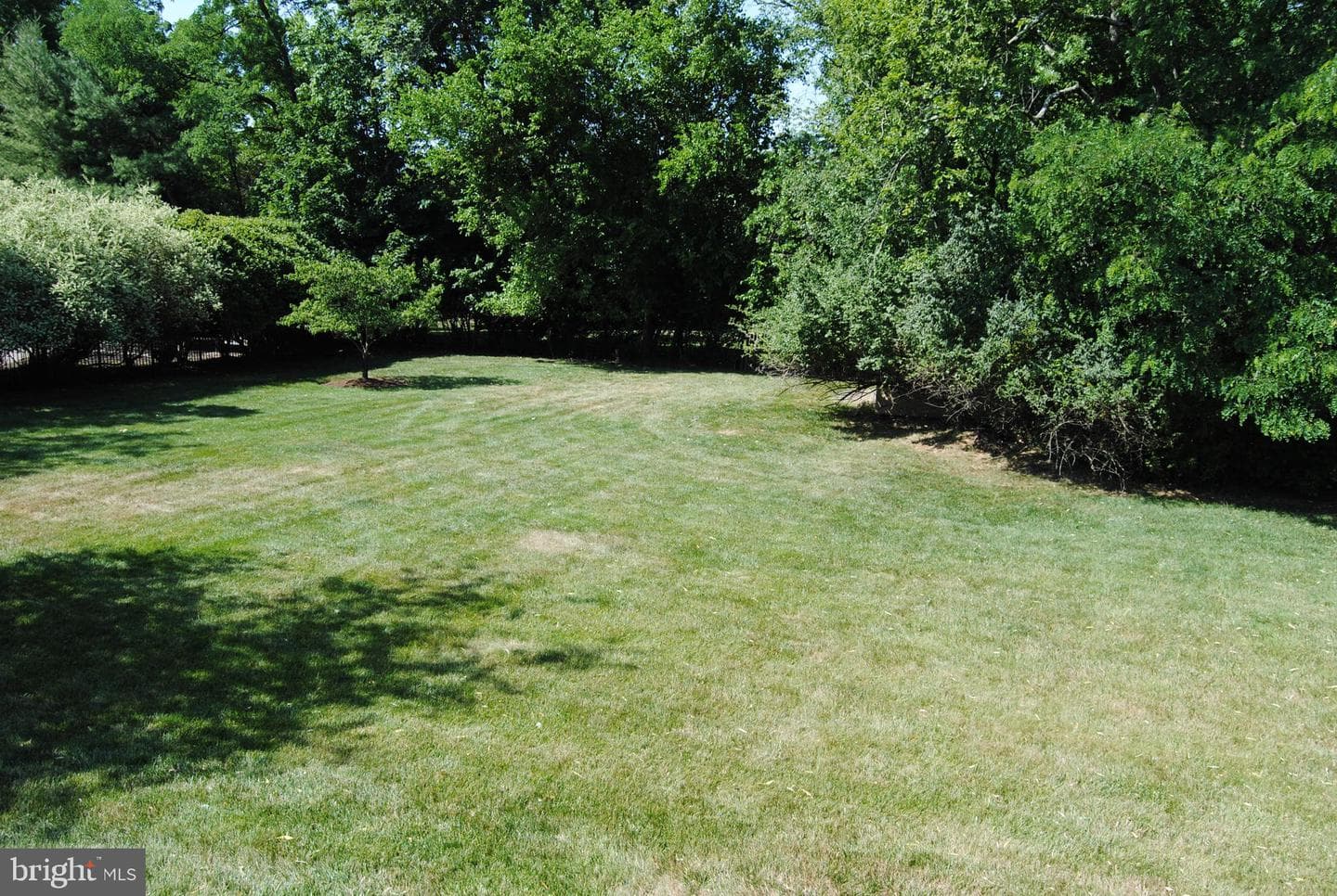 204 Stefan Place photo 40