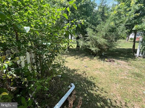 815 Oak Drive photo 17