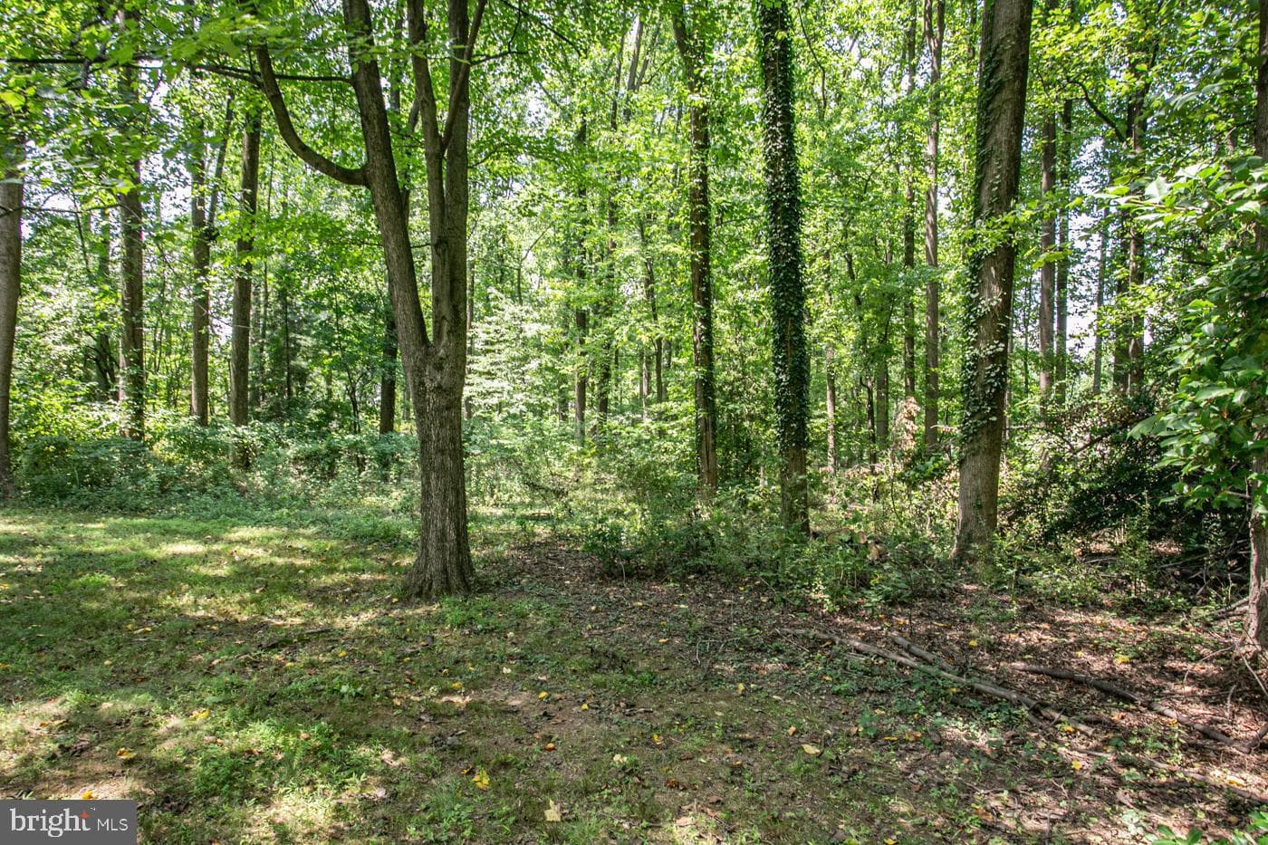 2211 Oak Terrace photo 48