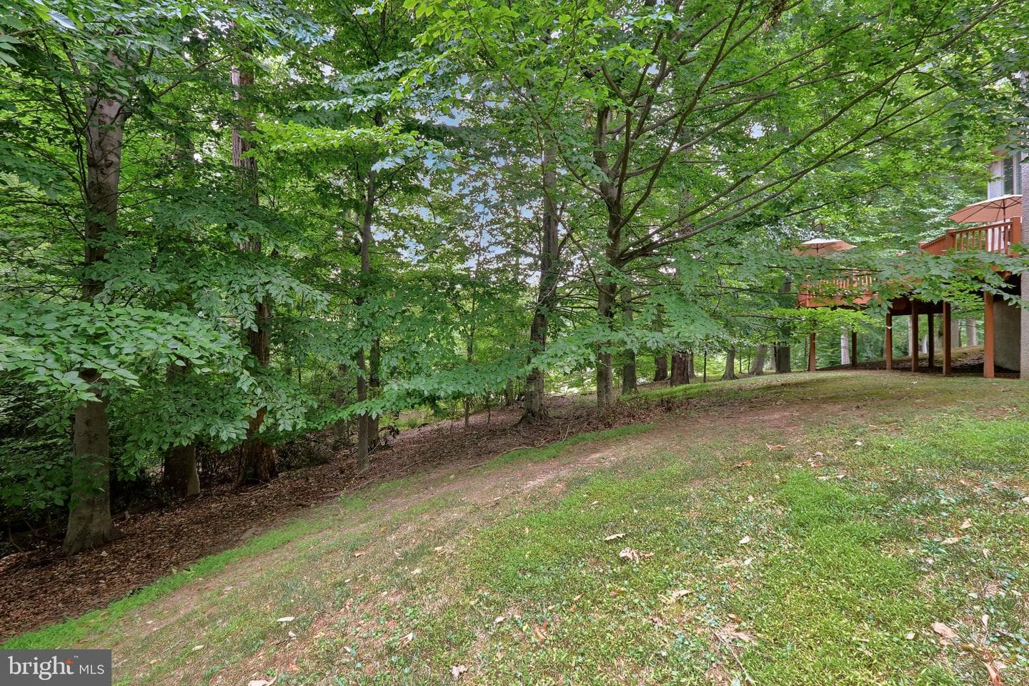 534 Pondview Road photo 42