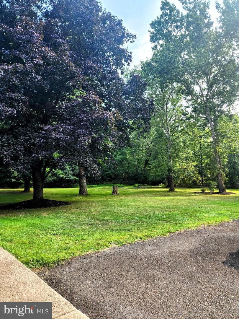 297 Lower State Road photo 23