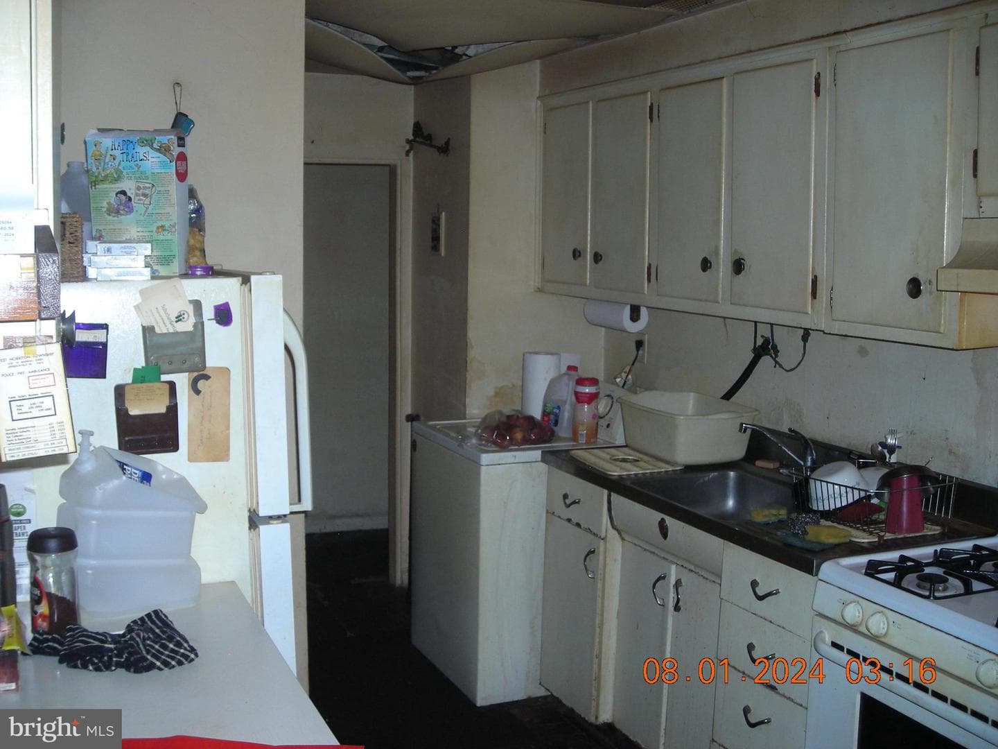 61 Galbraith photo 11