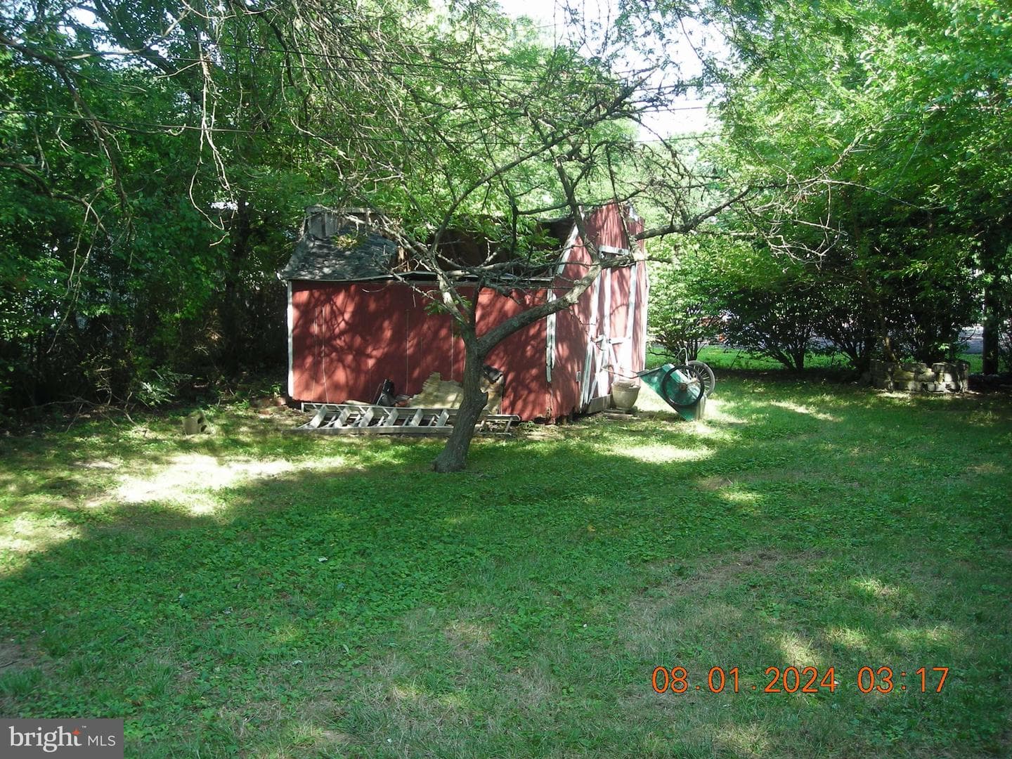 61 Galbraith photo 9