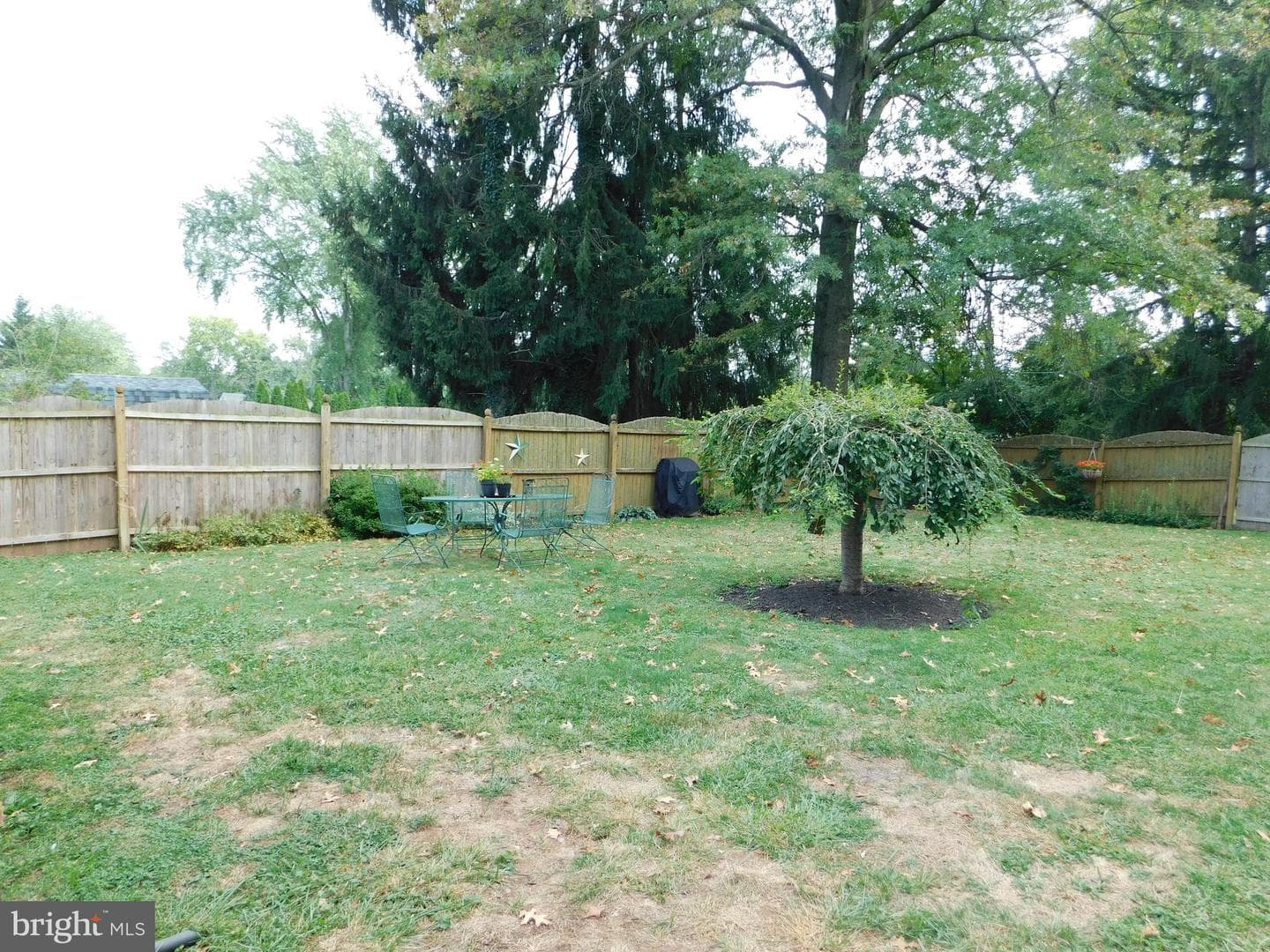 1700 Magnolia photo 25