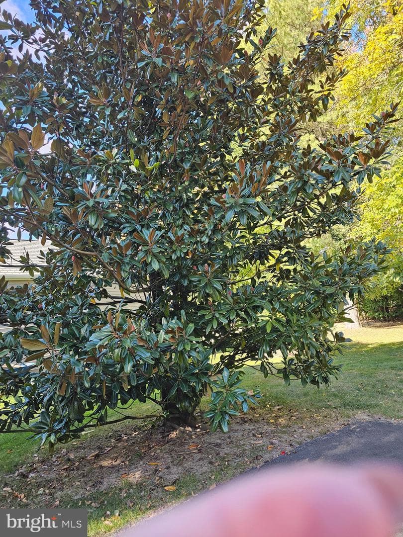 974 Valley Road photo 11