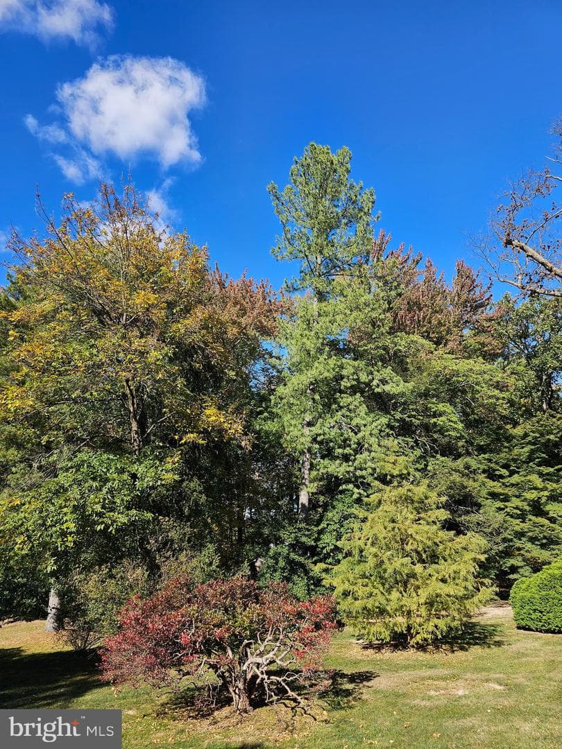 974 Valley Road photo 14