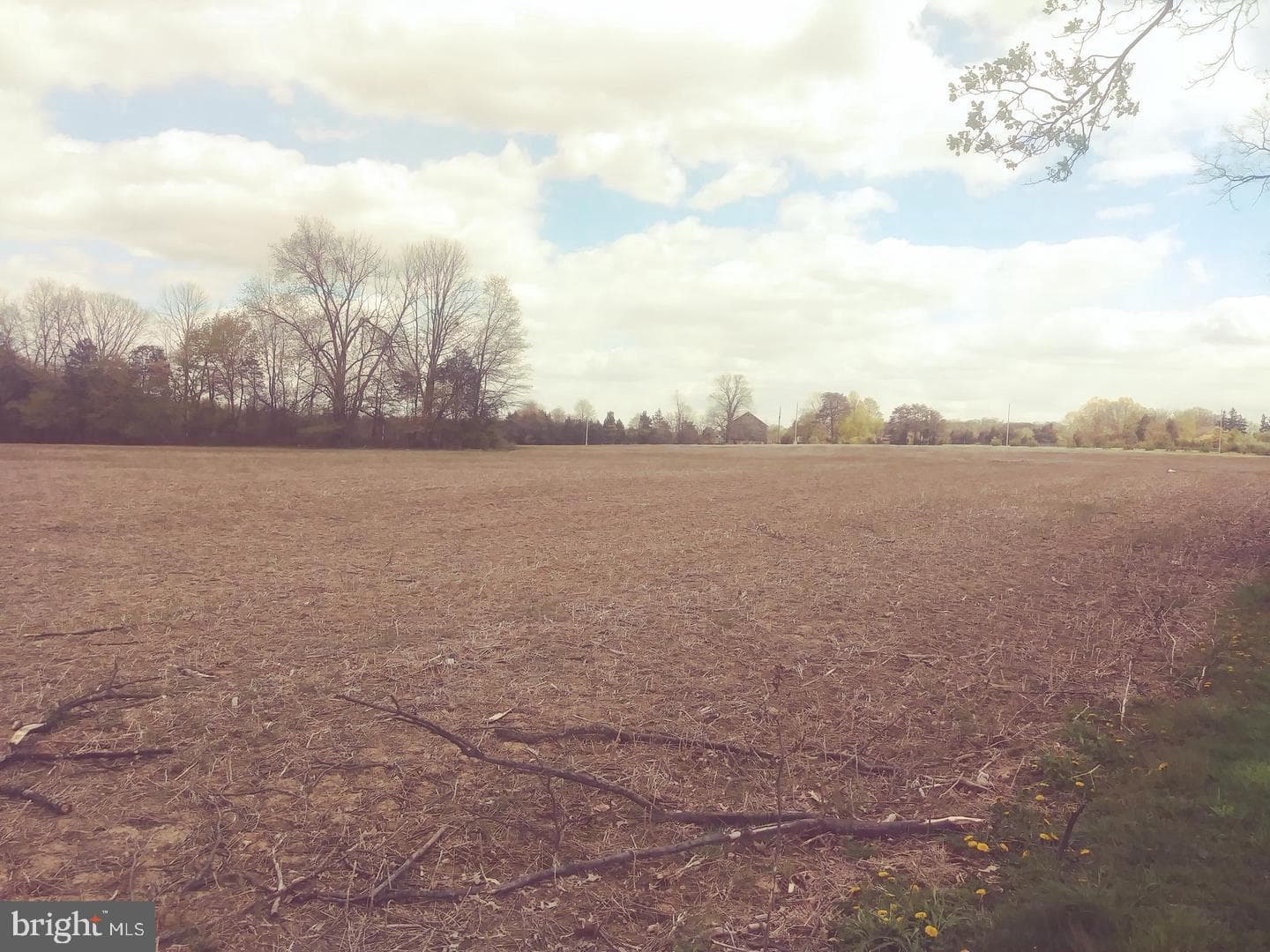 1717 Farmington Avenue #with Additional Lot photo 34