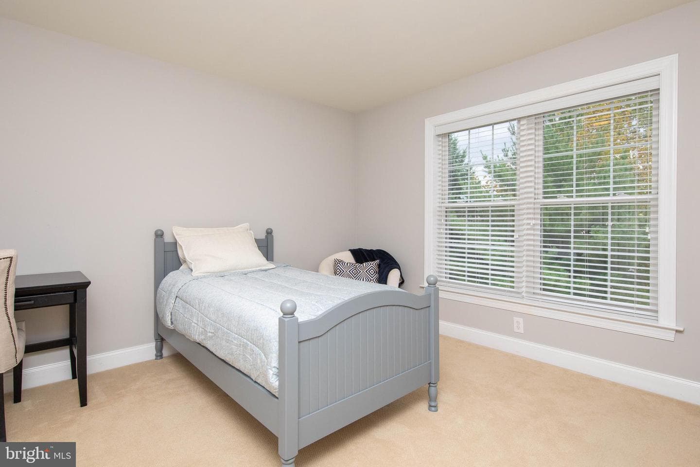 104 Carriage Court photo 25