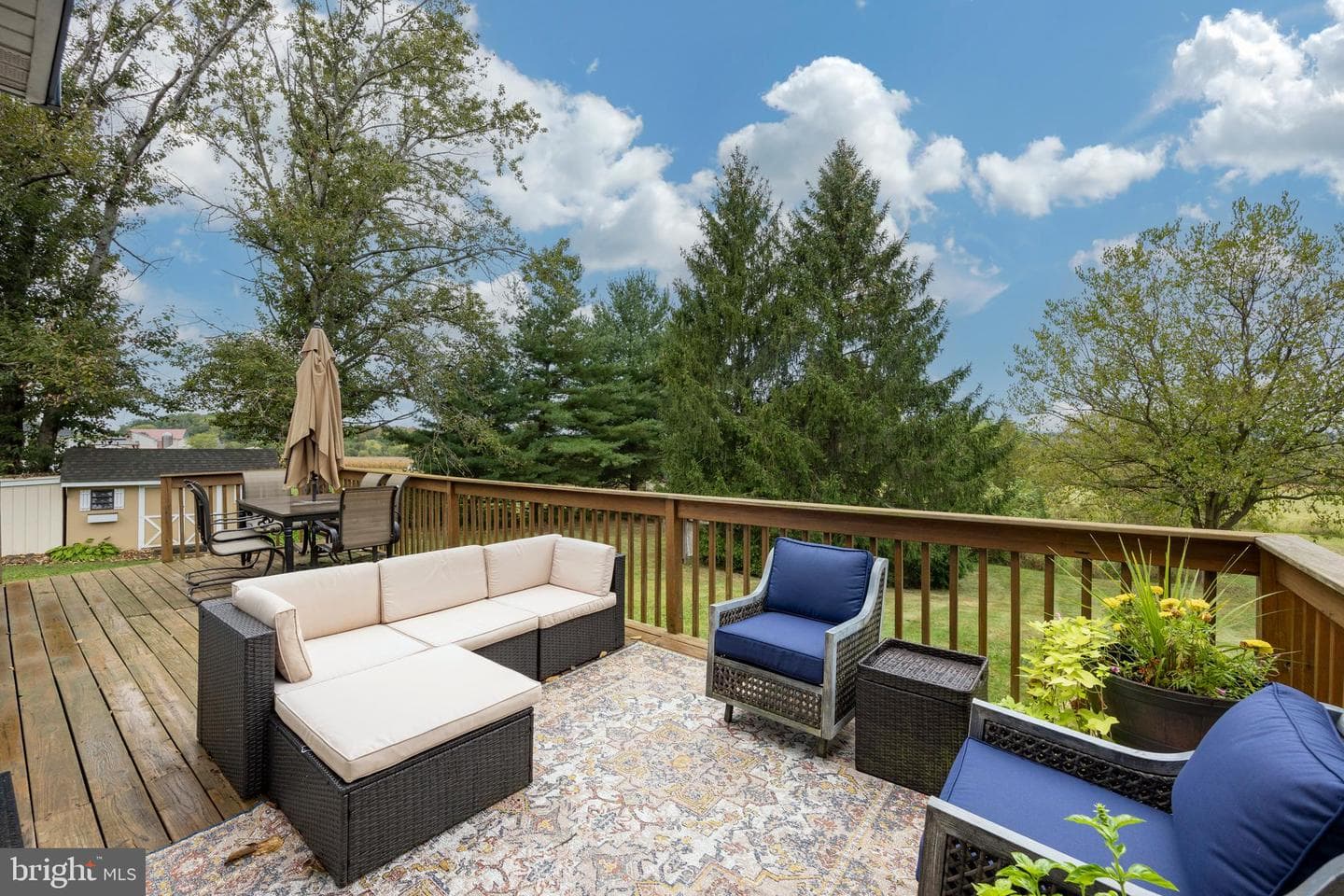 1364 W Campbell Road photo 43
