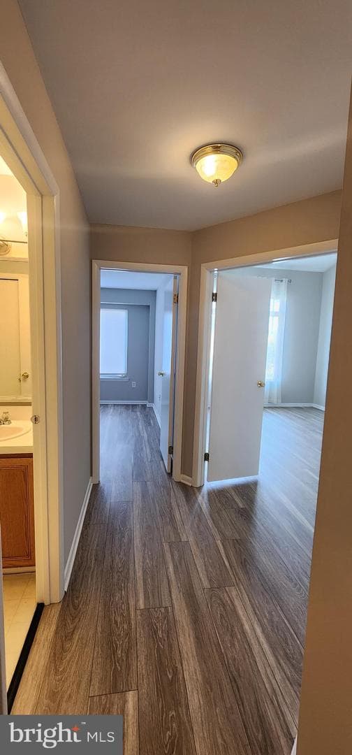 3203 Hemmingway Drive photo 17