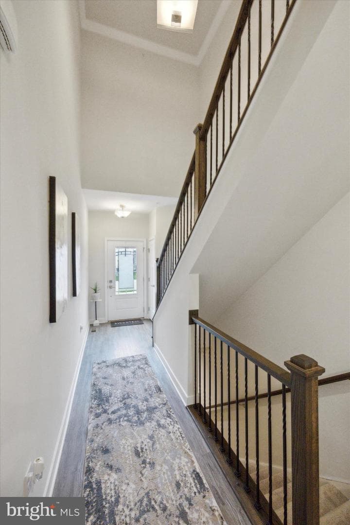 1109 Moscariello Lane photo 2
