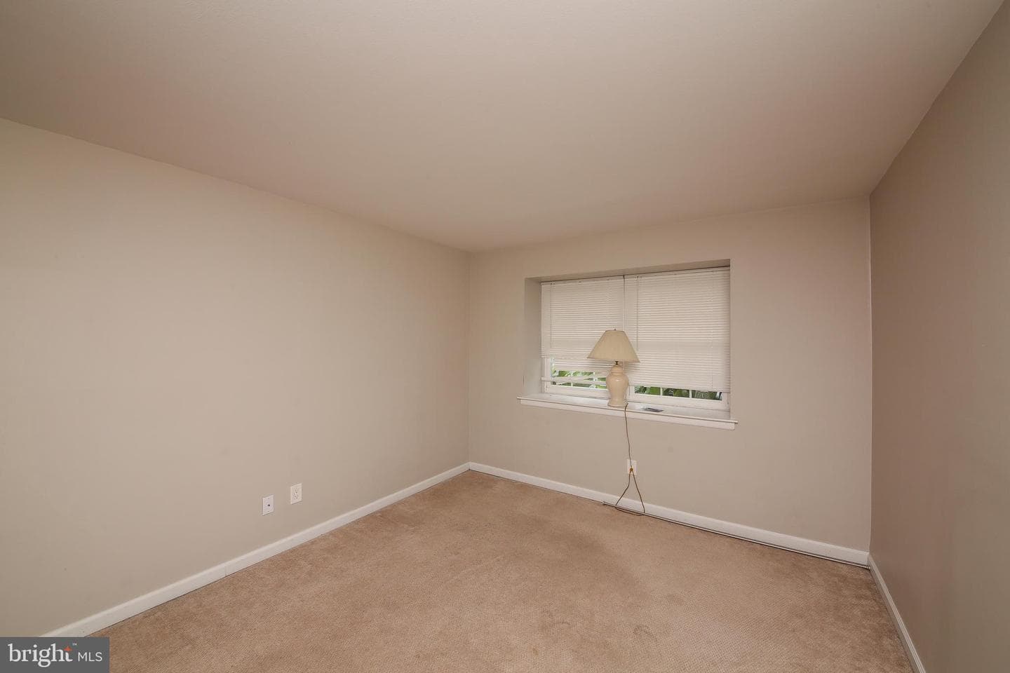 111 Shannon Drive photo 7