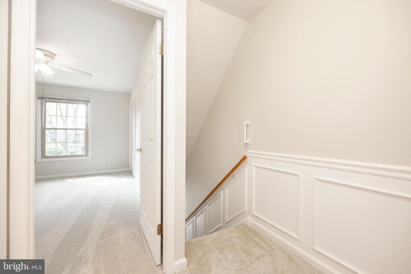 168 Albemarle Drive photo 16