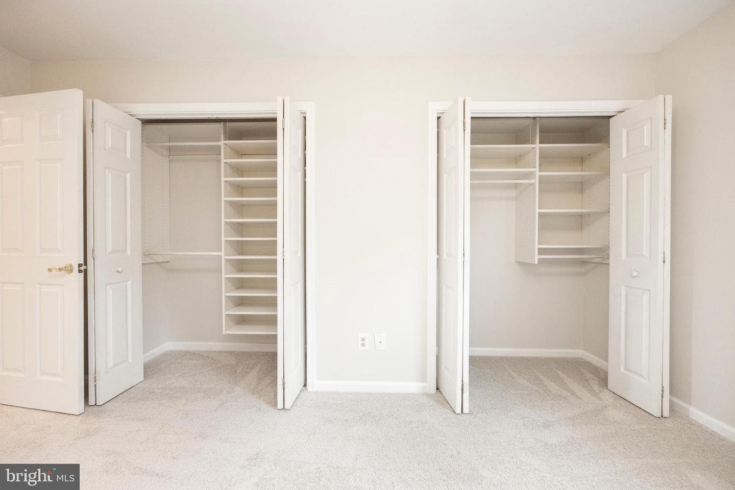 168 Albemarle Drive photo 20