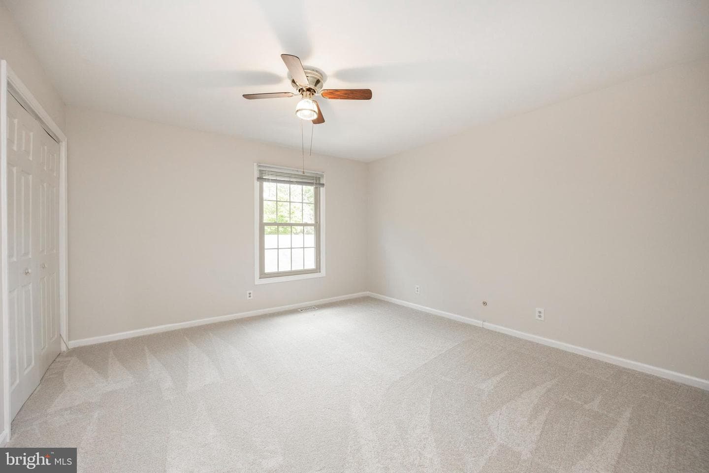 168 Albemarle Drive photo 21
