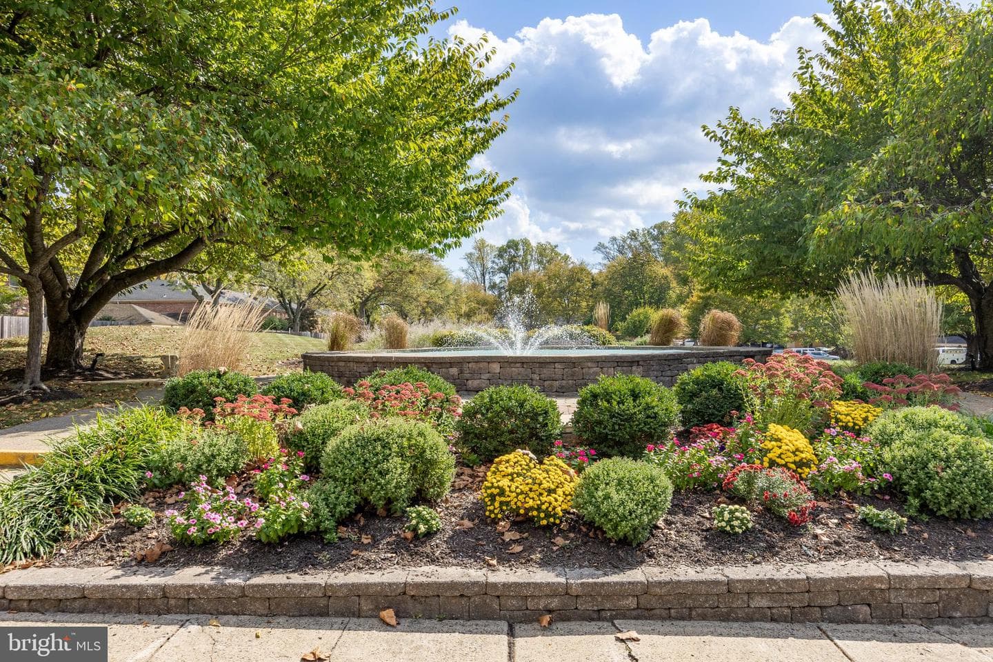 168 Albemarle Drive photo 41