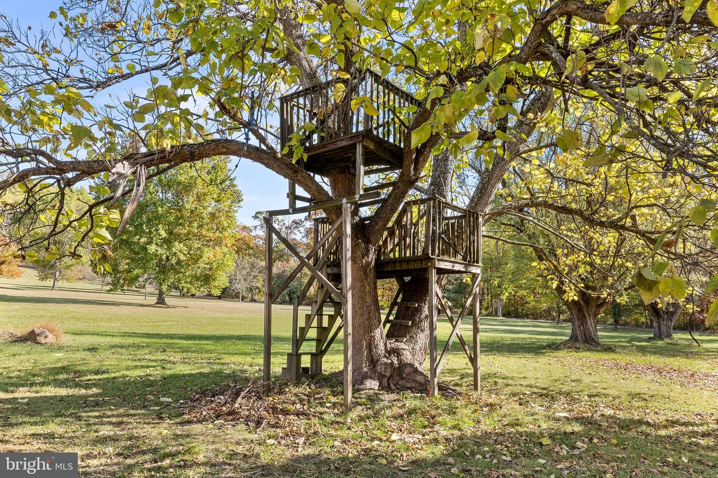 2717 Swamp Pike photo 26