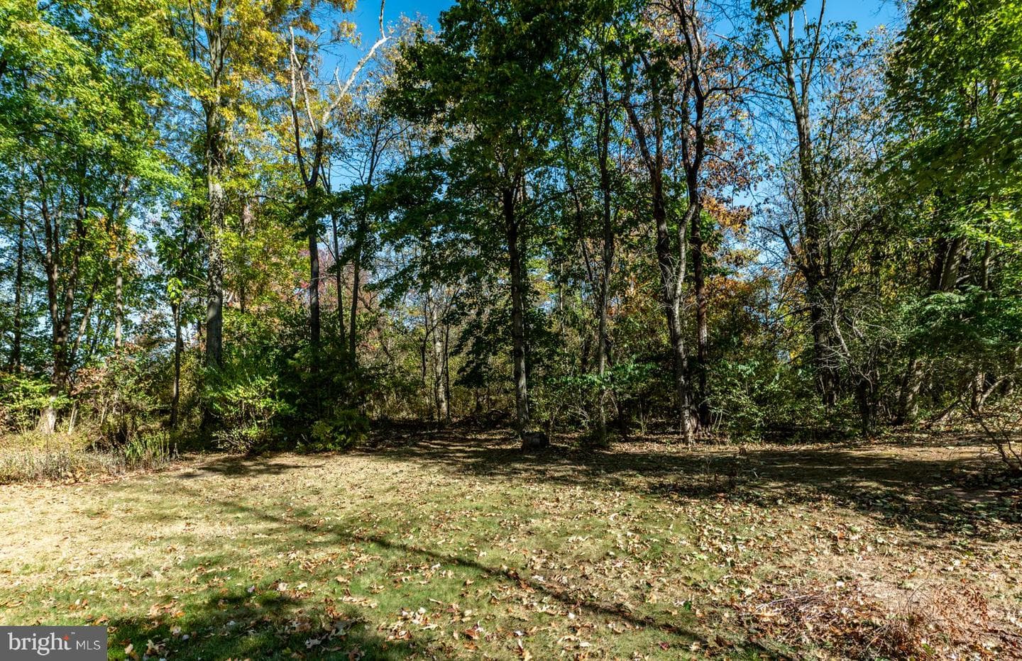 3378 Morris Road photo 51