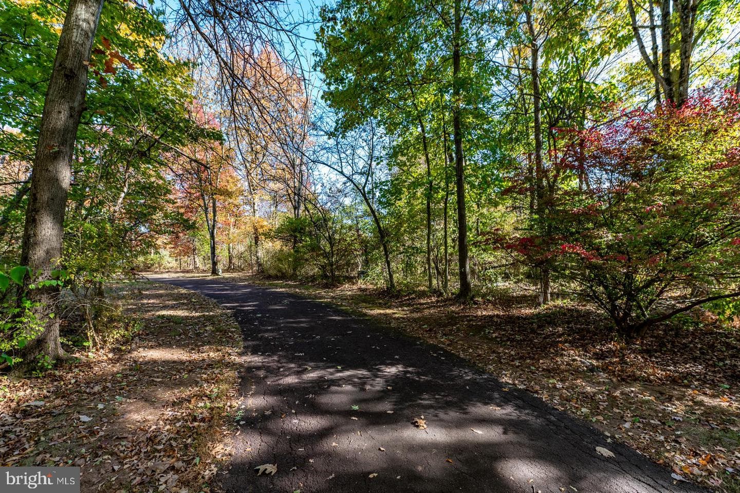 3378 Morris Road photo 54
