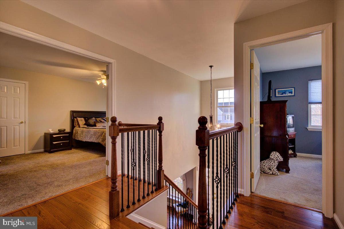 205 Bayberry Drive photo 20