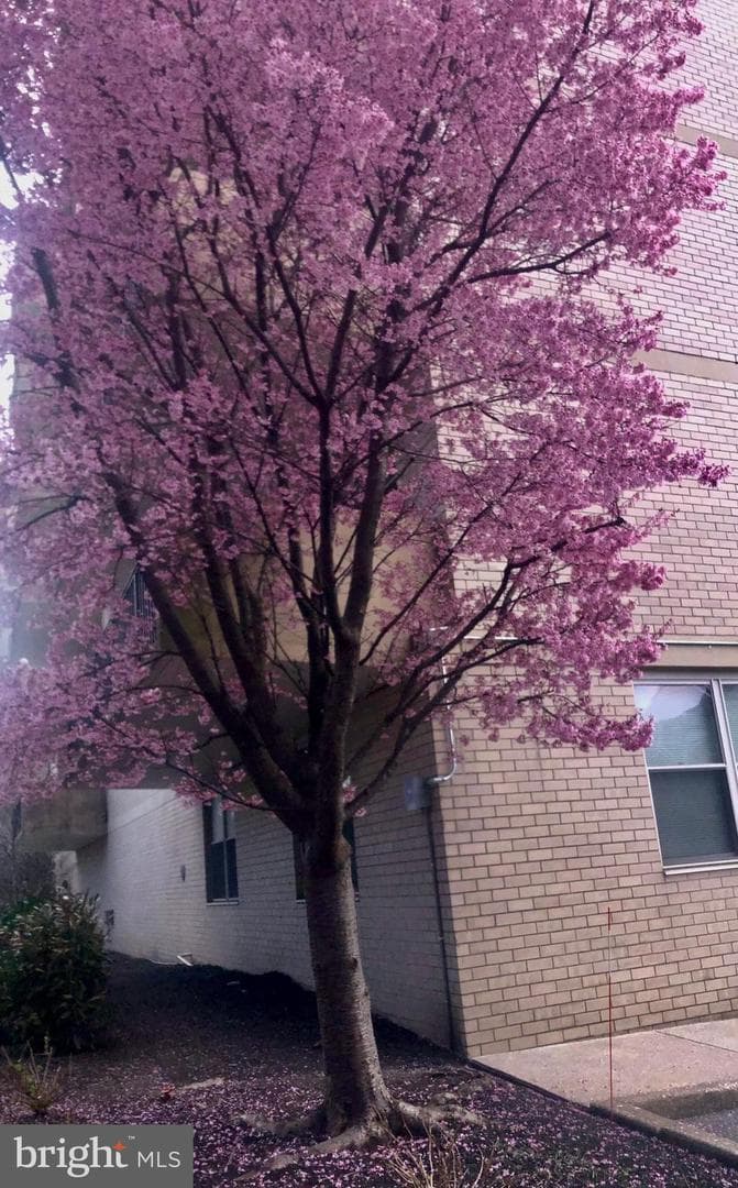20 Conshohocken State Rd #unit 602 photo 32