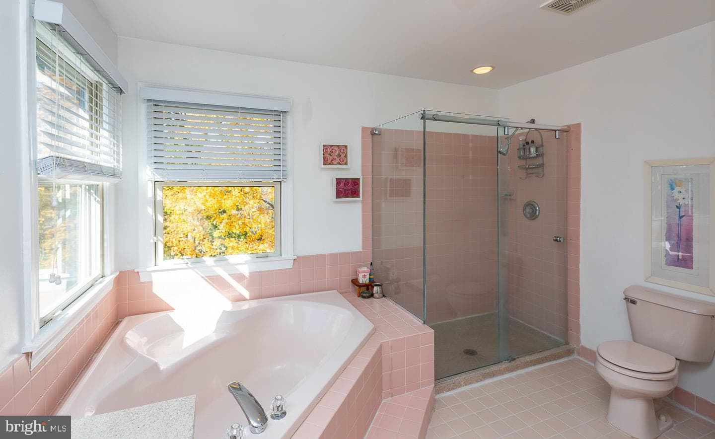 134 Chinaberry Drive photo 25