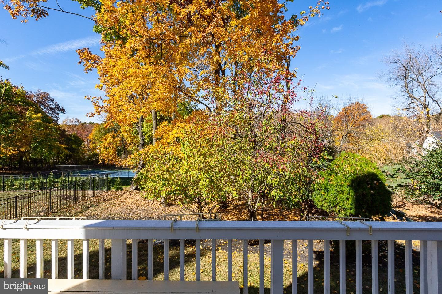 134 Chinaberry Drive photo 31