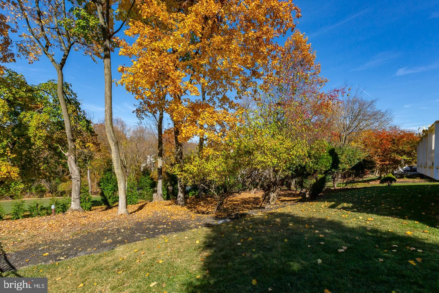134 Chinaberry Drive photo 32