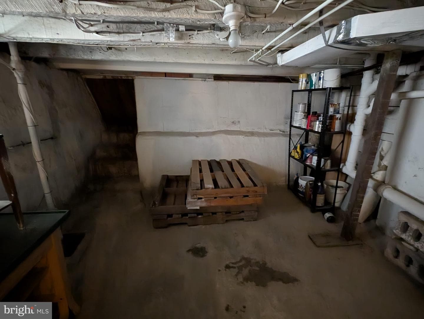 75 Holland Avenue photo 36