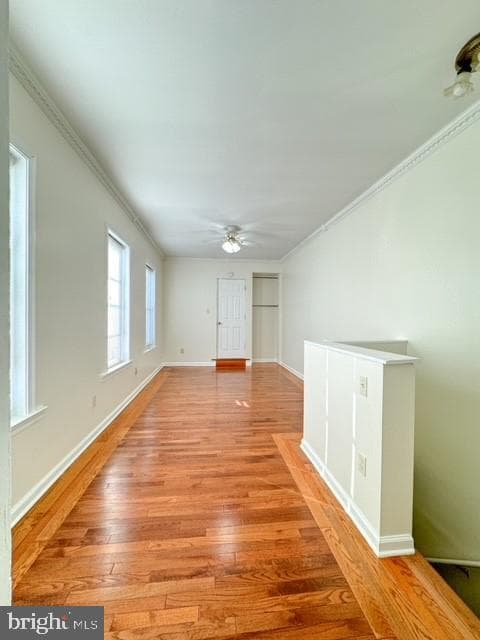 72 S Charlotte Street photo 29