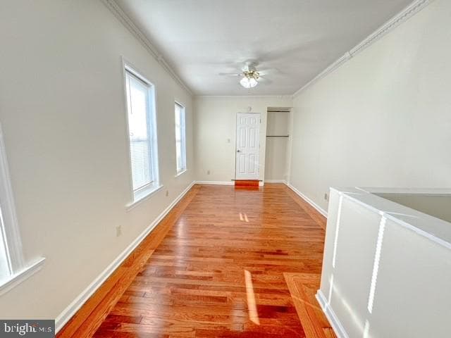 72 S Charlotte Street photo 30